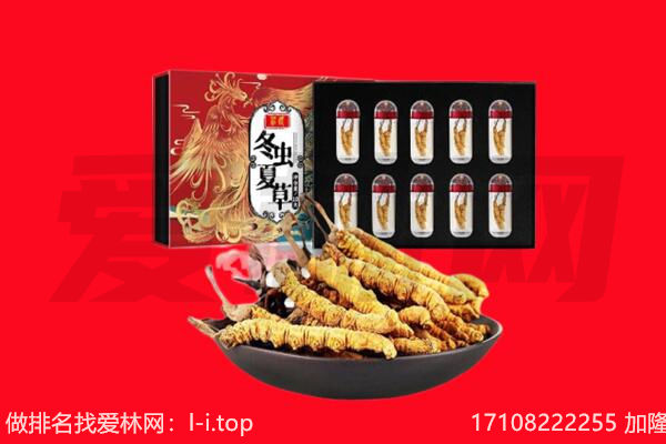 柳州回收虫草.jpg